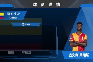 达文森·桑切斯集锦：体格强壮、速度不差的中卫 高空争顶略微不稳