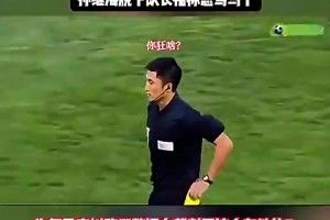 郑智张琳芃都没办法！当年孙继海脱下队长袖标怒骂主裁判马宁